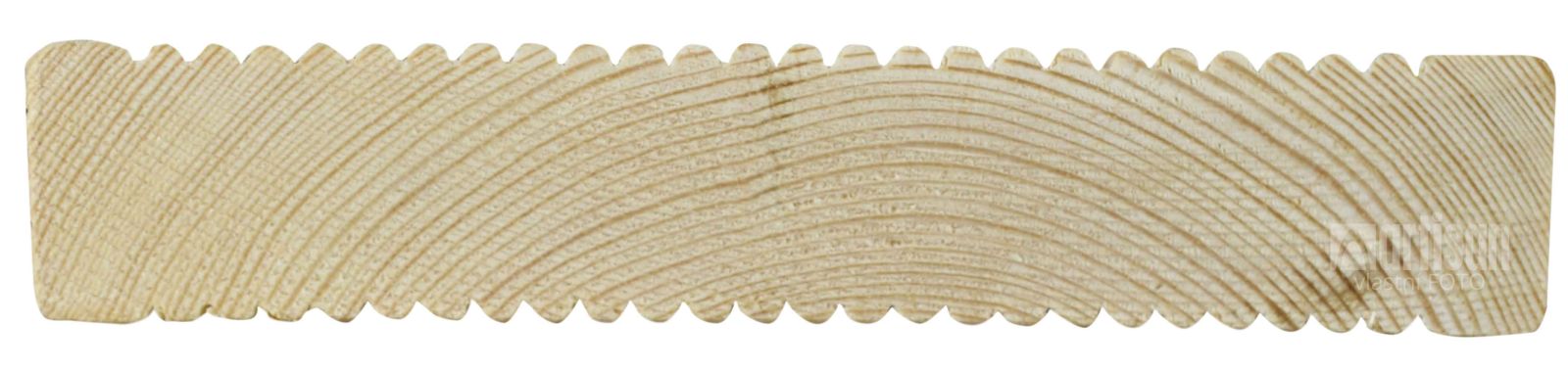 Průřez severské borovice - detail krásně výrazných letokruhů
